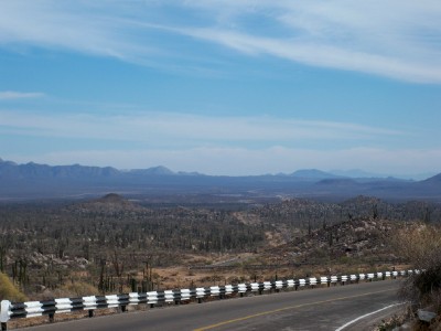 catavina