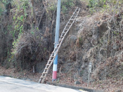 ladder