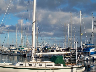 marina