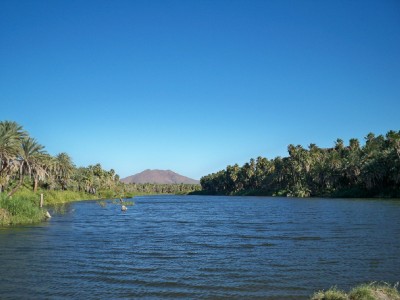 oasis