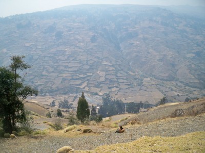 Pachas, Peru