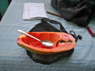 papaya