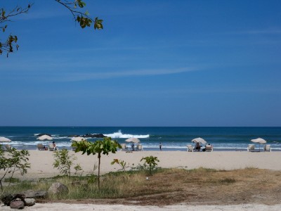 tamarindo