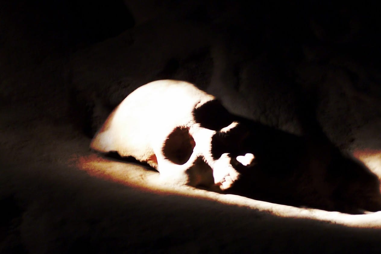 Skull in ATM cave Belize