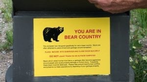 Cycling in bear country Canada