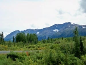 Cycling from Lions Camp to Iskut in Canada | Bicycle Tour Blog