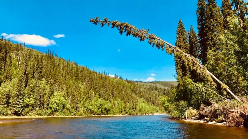 Cycling from Salcha River into a headwind in Alaska