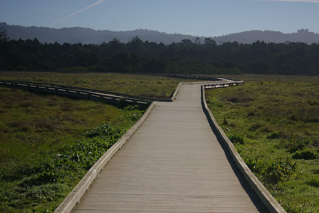Manchester State Park on the Pacific Coast HIghway