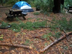 Fallen tree branches near my tent at Standish Hickey - one hit my bike and buckled the wheel