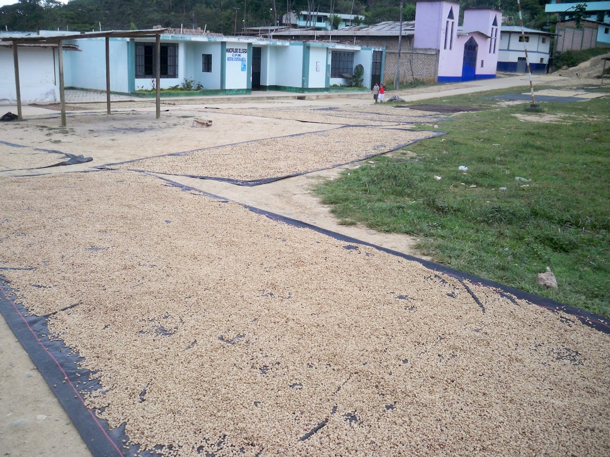 Beans drying out in the sun in a village in Peru