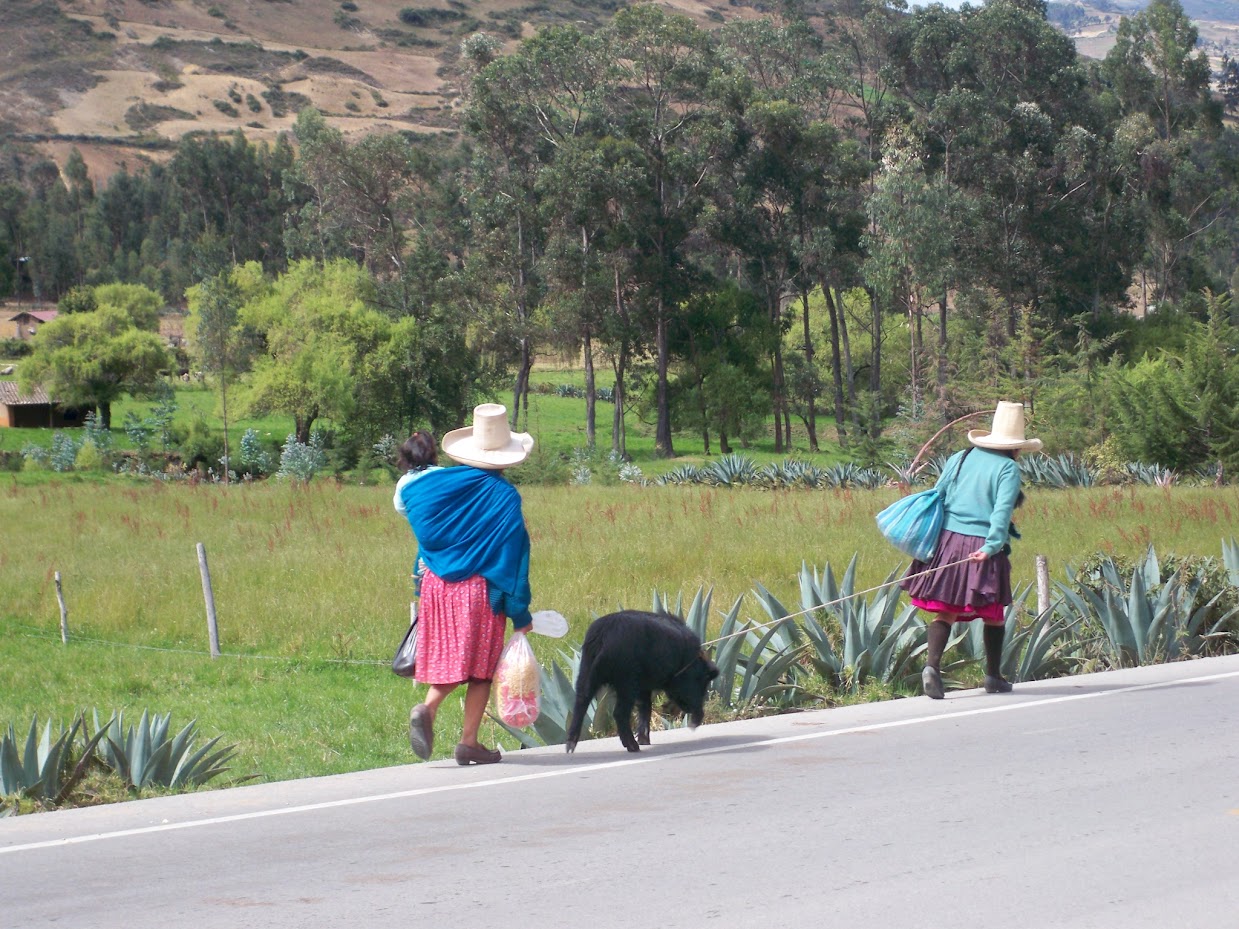 Two women leading a pig to market in Peru