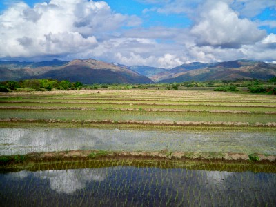 Cycling as rice terraces in Peru