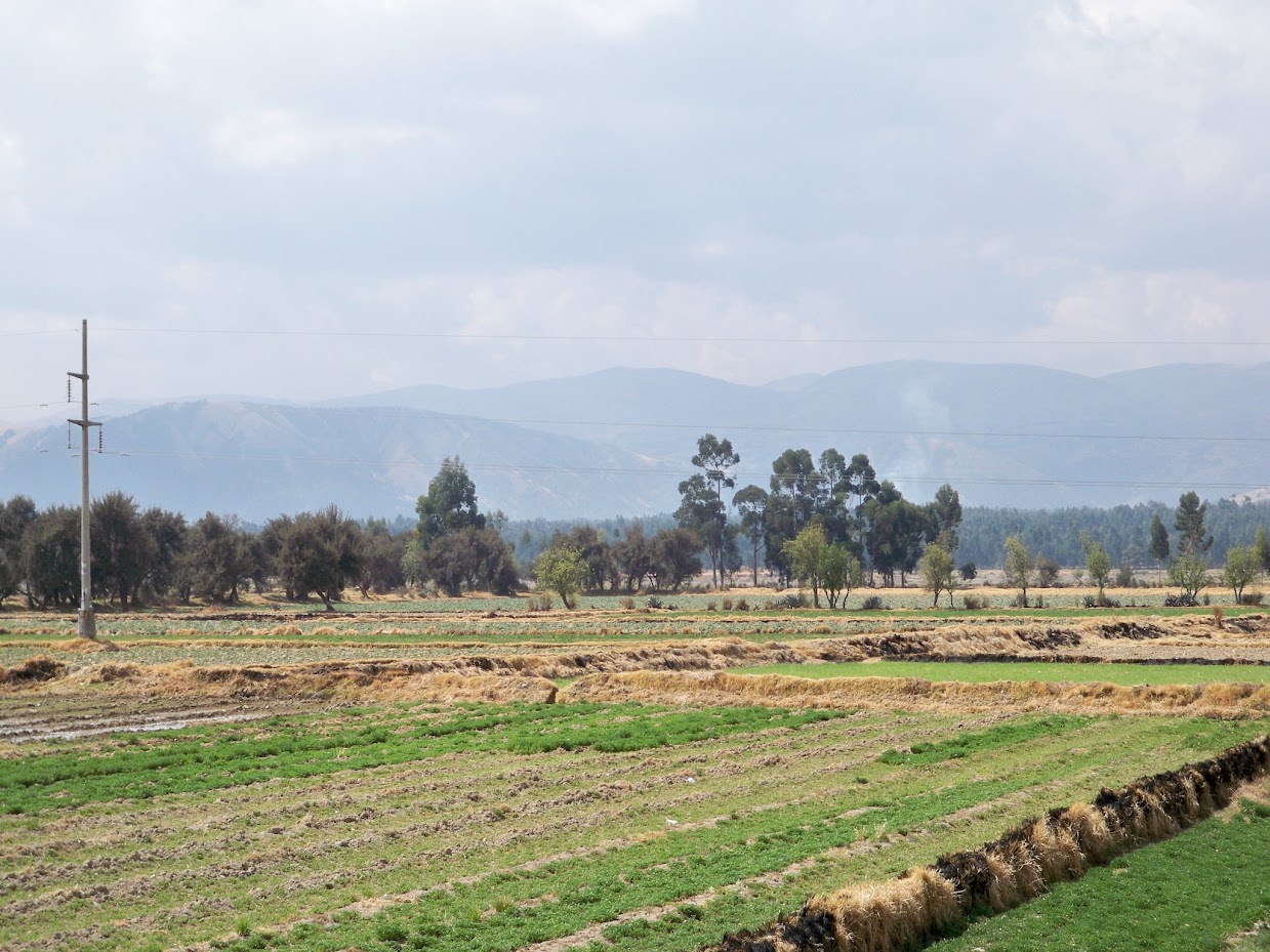 fertile fields in Huancayo Peru