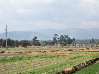fertile fields in Huancayo Peru