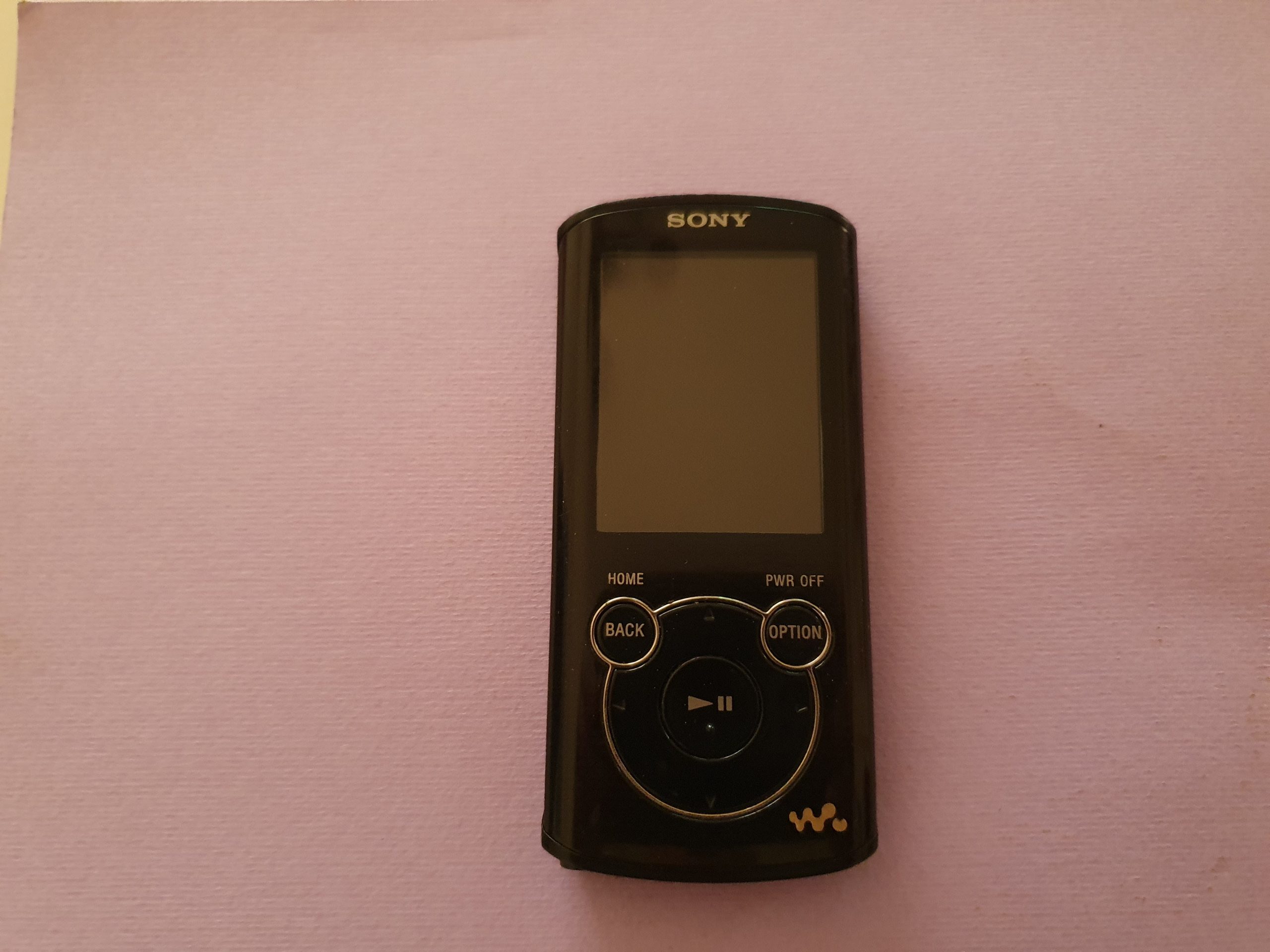 Sony Walkman NWZ E463 Player