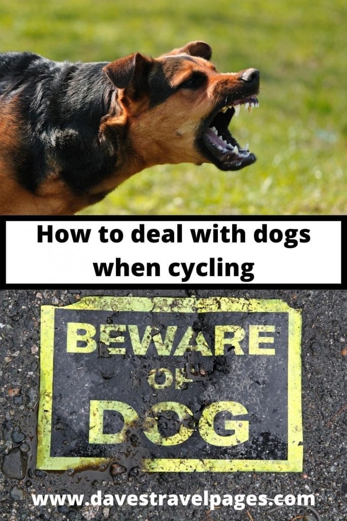 What Is The Best Dog Deterrent For Cyclists On A Bike Tour?