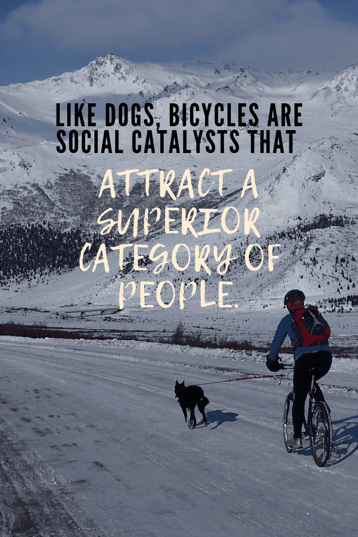 Like dogs, bicycles are social catalysts that attract a superior category of people.
