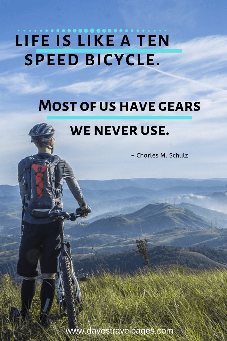 Life is like a ten speed bicycle. Most of us have gears we never use.