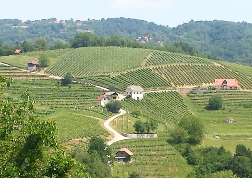 The stunning countryside of Slovenia, as seen when taking a bicycle tour from the Big Berry Lifestyle Camp.