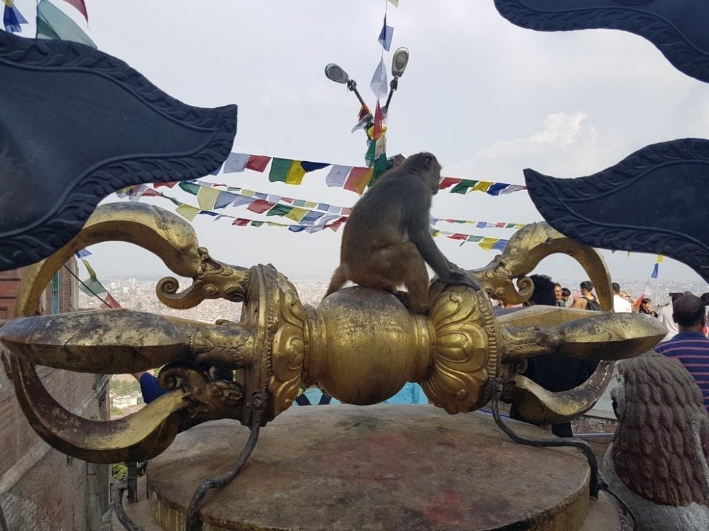 Visiting the monkey temple is one of the fun things to do in Kathmandu