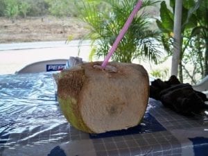 Taking a refreshing drink from a coconut on my Mexico bike ride