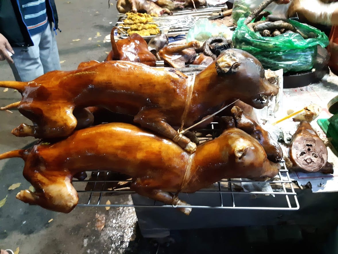 Roasted dog on a spit in Vietnam
