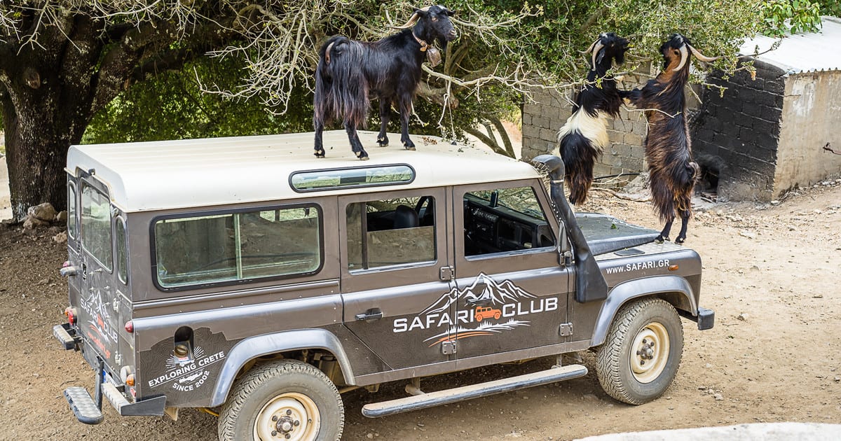 Crete: Land Rover Safari on Minoan Route