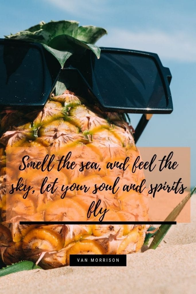 100+ Beach Vibes Quotes to Inspire Your Next Beach Getaway