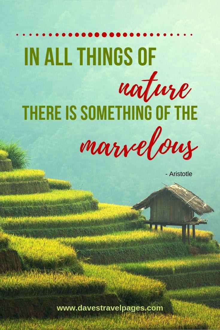 The marvel of nature: In all things of nature there is something of the marvelous. - Aristotle