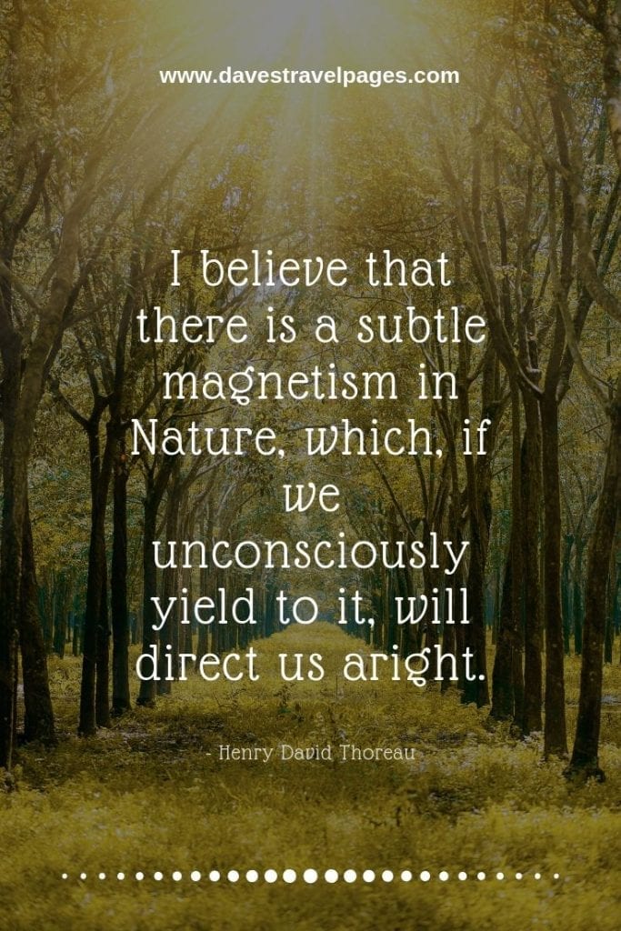 Nature sayings - I believe that there is a subtle magnetism in Nature, which, if we unconsciously yield to it, will direct us aright. - Henry David Thoreau