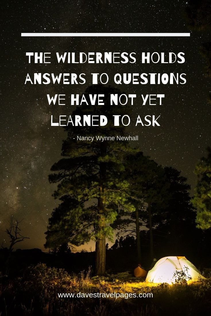 Wilderness Quotes - "The wilderness holds answers to questions we have not yet learned to ask."