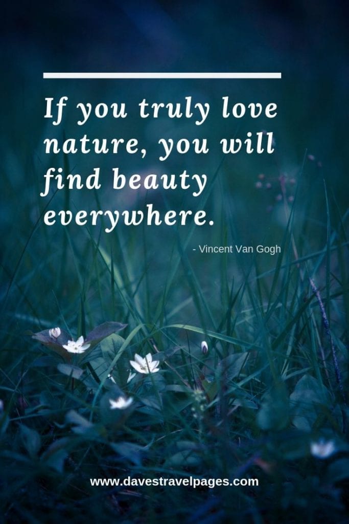 Quotes about the beauty of nature: If you truly love nature, you will find beauty everywhere. - Vincent Van Gogh