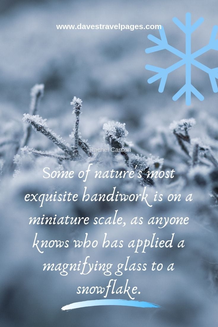 Inspiring quotes about nature - Some of nature's most exquisite handiwork is on a miniature scale, as anyone knows who has applied a magnifying glass to a snowflake. - Rachel Carson