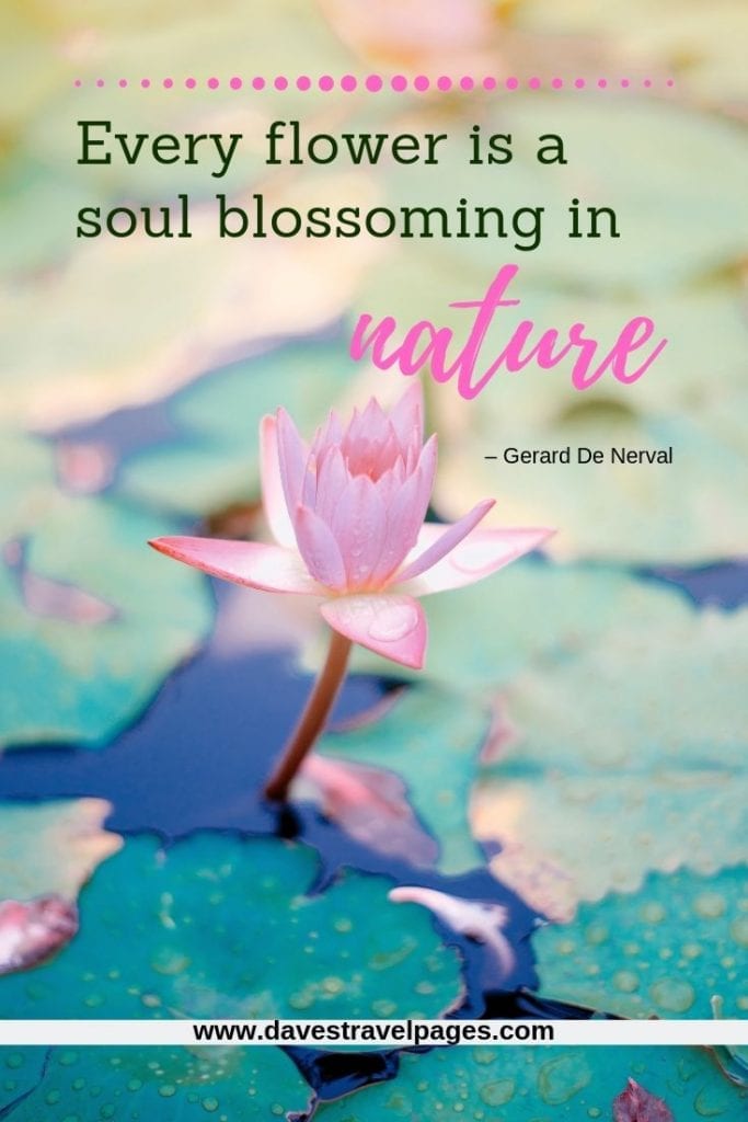 Beautiful nature quotes - “Every flower is a soul blossoming in nature.” – Gerard De Nerval