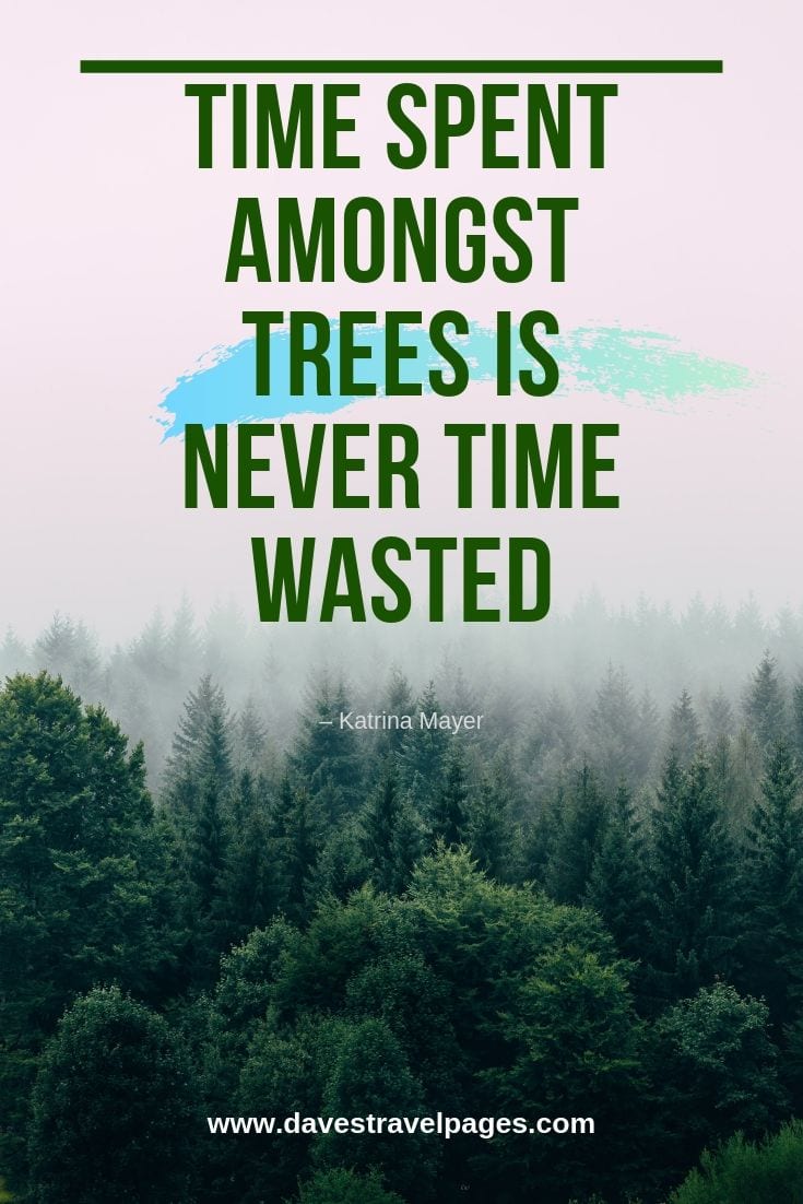 Best Nature Quotes - Inspirational sayings and quotes about nature