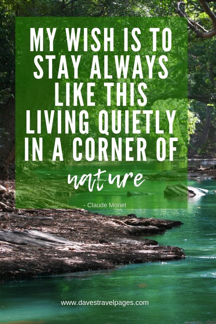 Quotes about living in nature - My wish is to stay always like this, living quietly in a corner of nature.