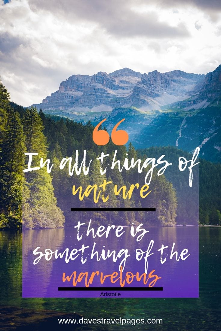 Great Outdoors Quotes - In all things of nature there is something of the marvelous.