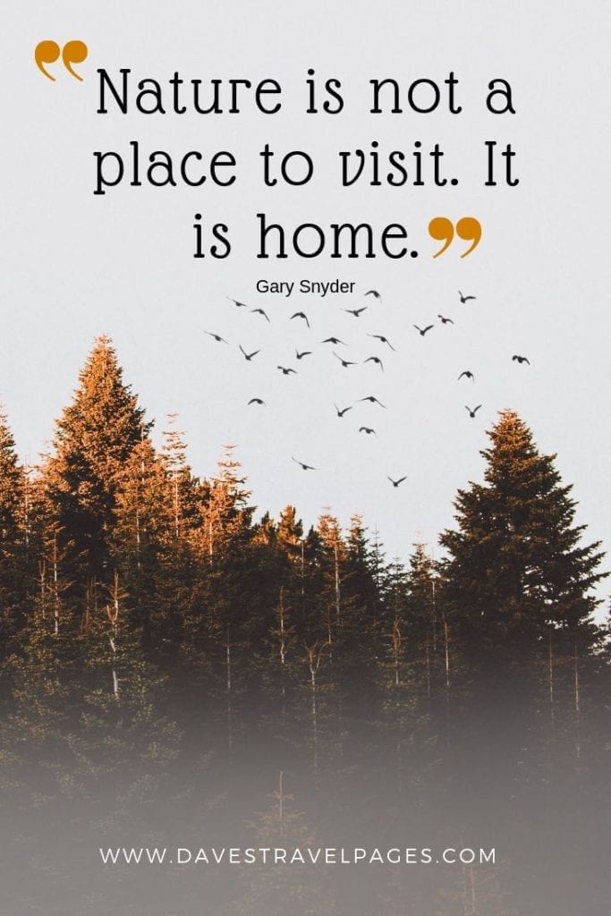 100+ Outdoor Quotes For Those That Love The Great Outdoors