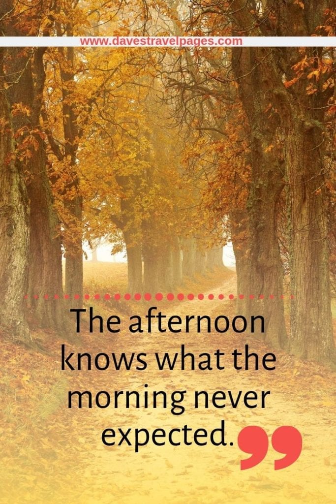 Inspiring Quotes: The afternoon knows what the morning never expected. 