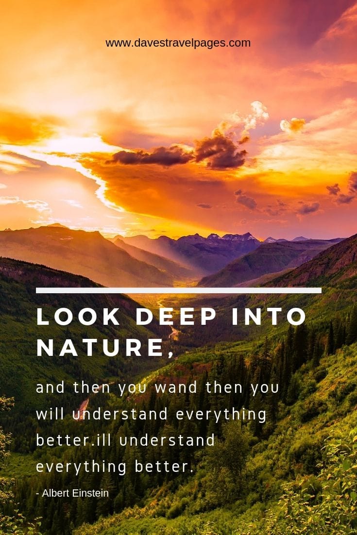 Inspiring quotes about nature: Look deep into nature, and then you will understand everything better.