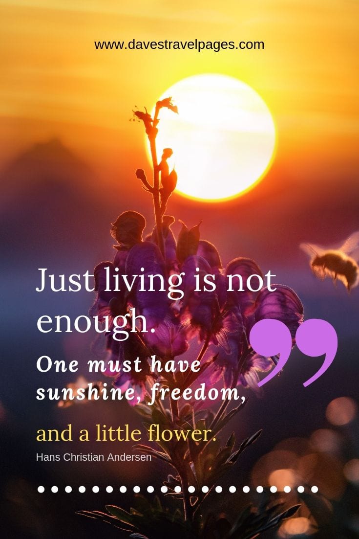 Quotes about living well: Just living is not enough. One must have sunshine, freedom, and a little flower.