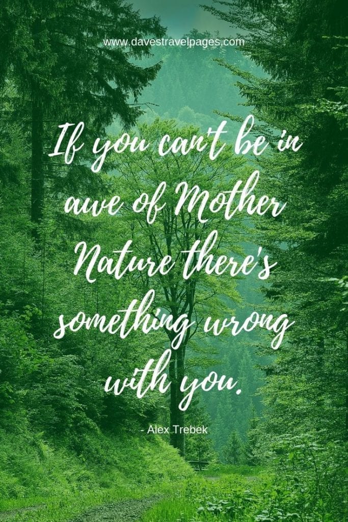 100+ Outdoor Quotes For Those That Love The Great Outdoors