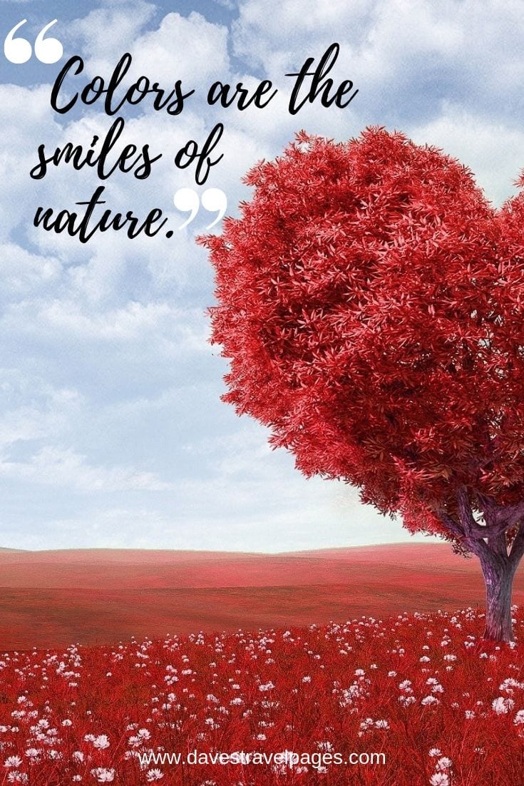 Outdoor Quotes - Colors are the smiles of nature.