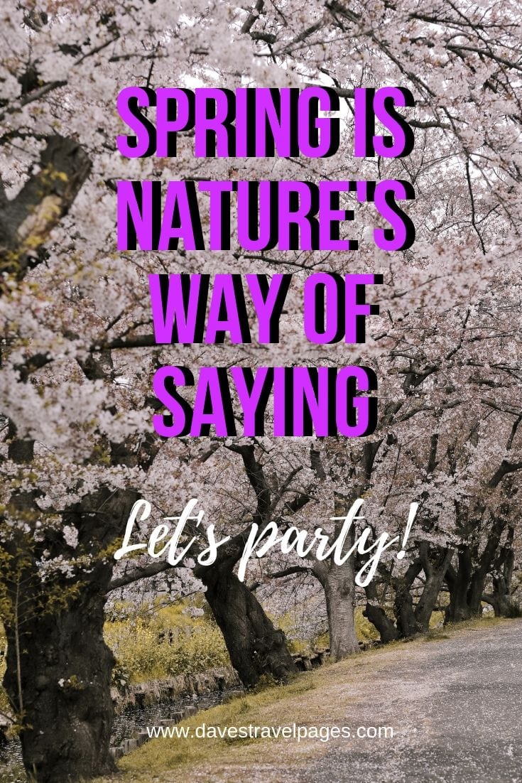 Best outdoor quotes: Spring is nature's way of saying, 'Let's party!"