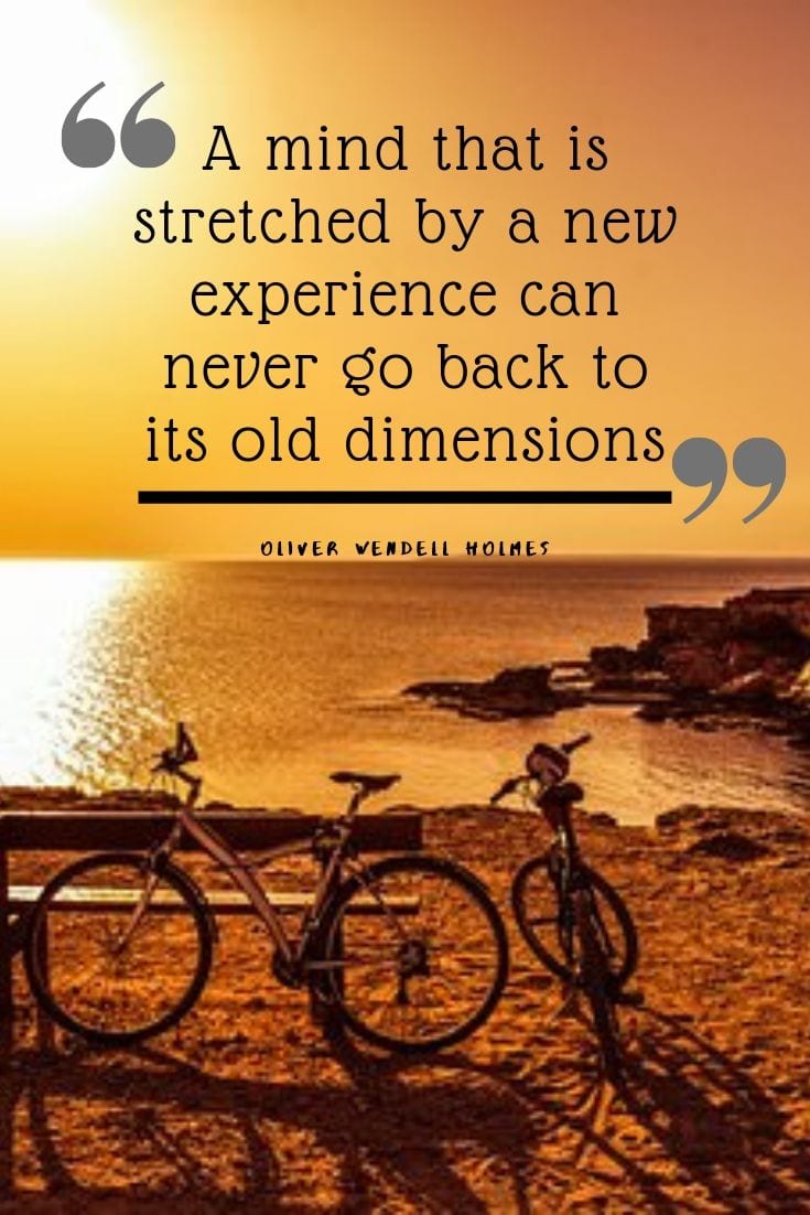 A mind that is stretched by a new experience can never go back to its old dimensions.