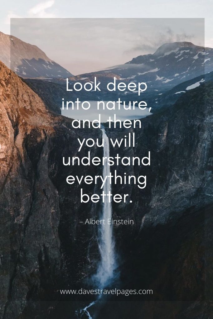 Look deep into nature quote