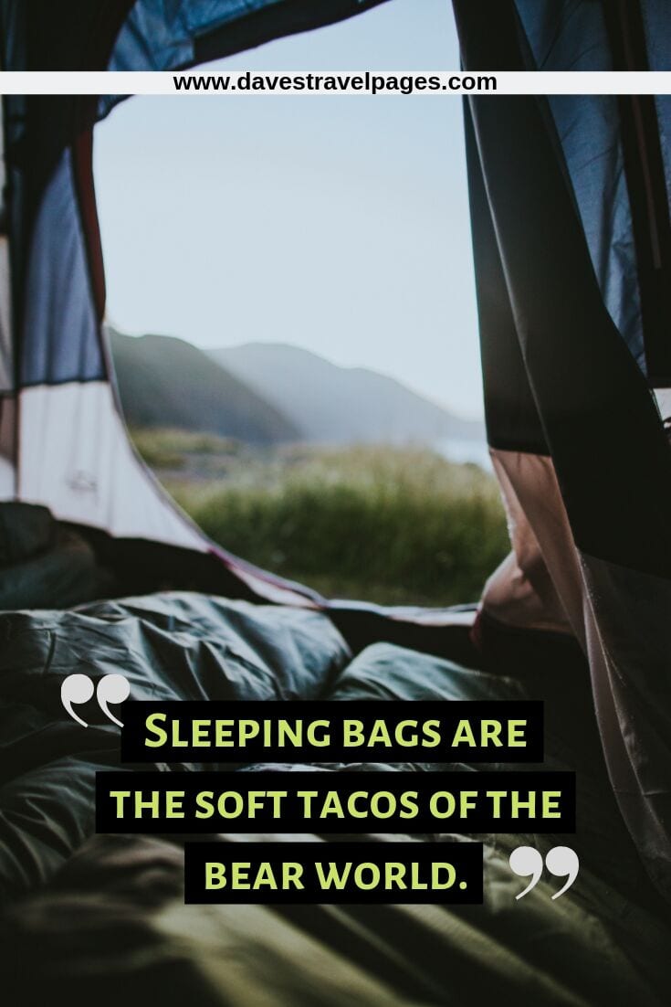 Sleeping bags are the soft tacos of the bear world. - Bears