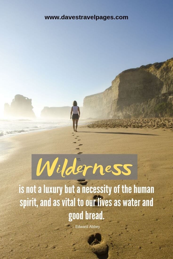 Wilderness is not a luxury but a necessity of the human spirit, and as vital to our lives as water and good bread. - Edward Abbey