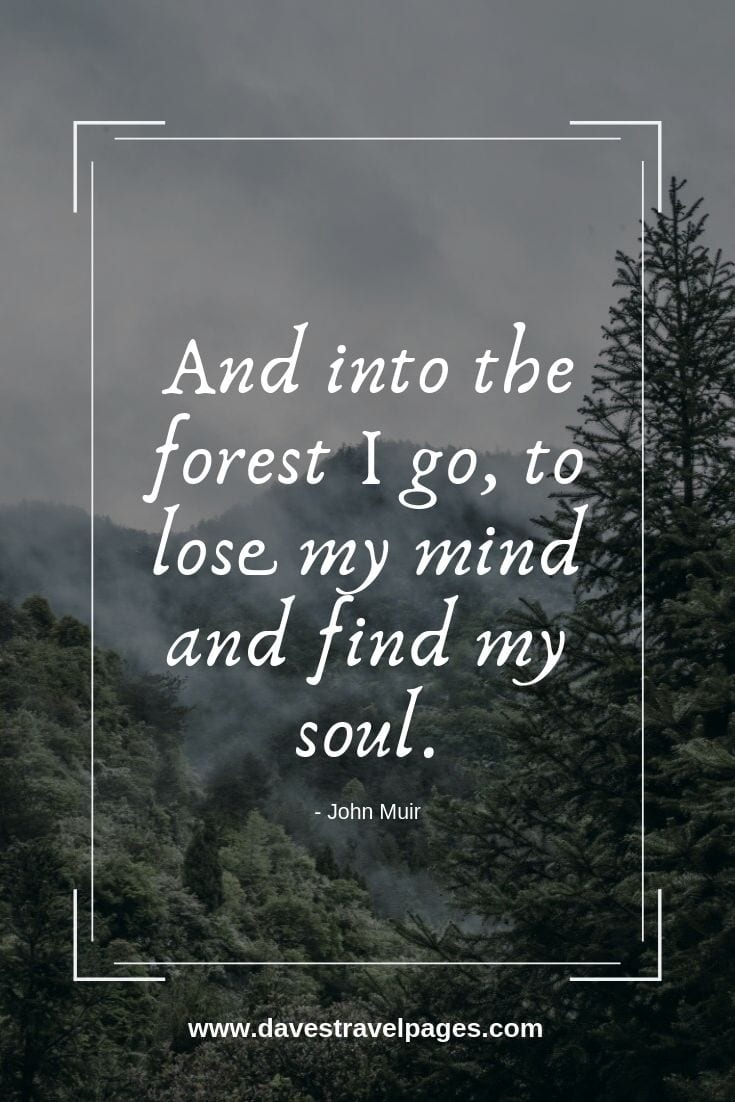 And into the forest I go, to lose my mind and find my soul.