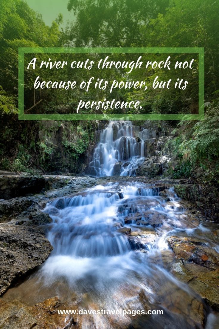 A river cuts through rock not because of its power, but its persistence.